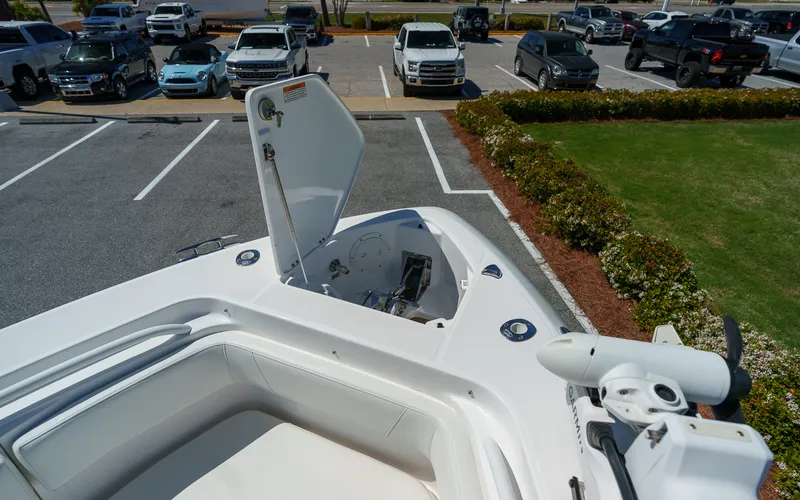 Slide: The Image of Everglades 325 CC 2017 - 9