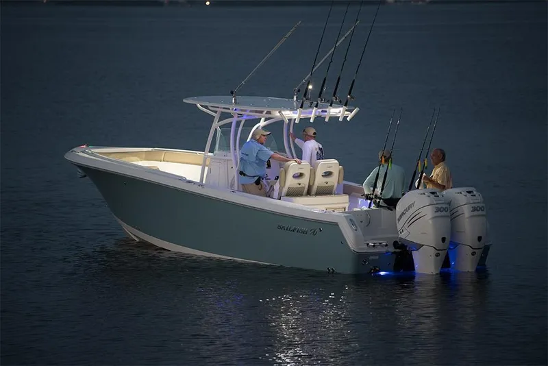 Slide: The Image of Sailfish 312 CC 2024 - 3