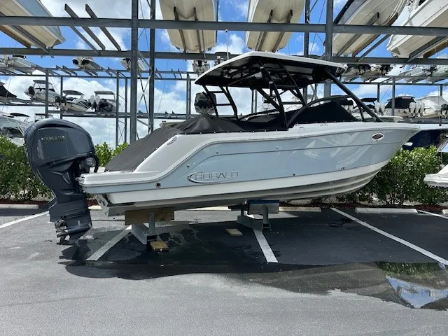 Slide: The Image of Robalo R317 DUAL CONSOLE 2021 - 32