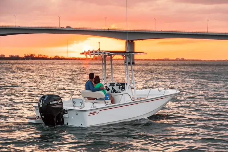 Slide: The Image of Boston Whaler 190 Montauk 2026 - 6