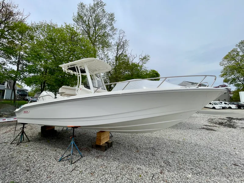The Image of Boston Whaler 250 Dauntless 2026 - 0