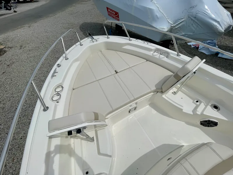 Slide: The Image of Boston Whaler 250 Dauntless 2026 - 10