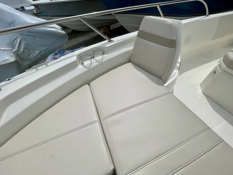 Slide: The Image of Boston Whaler 250 Dauntless 2026 - 11