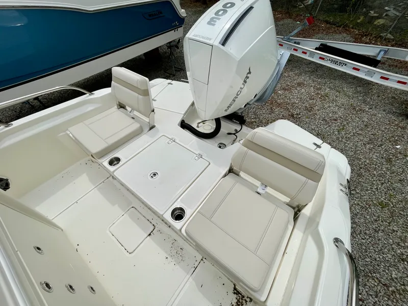 Slide: The Image of Boston Whaler 250 Dauntless 2026 - 4