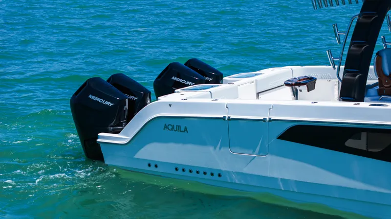 Slide: The Image of Aquila 47 Molokai 2026 - 14