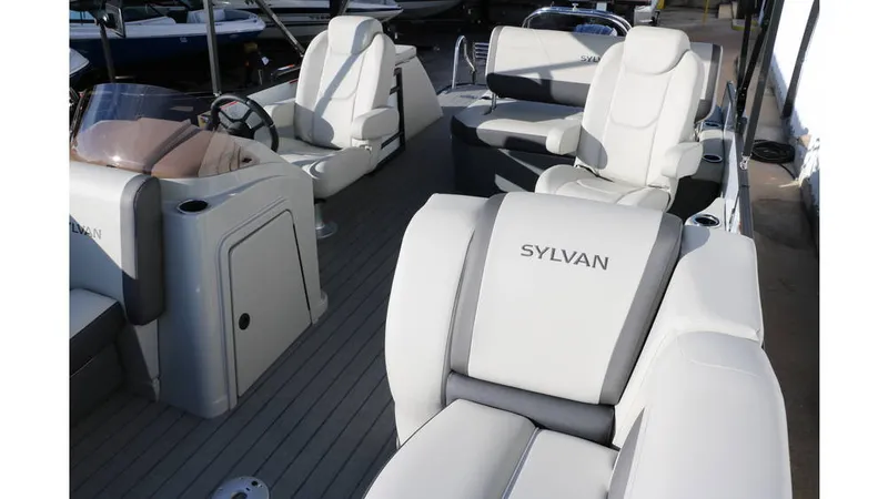 Slide: The Image of Sylvan Mirage X1 CLZ DH Tri Toon 2025 - 13