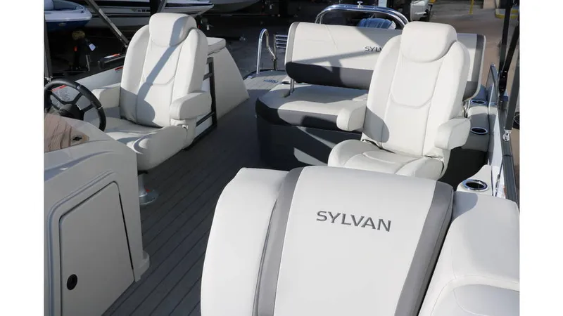 Slide: The Image of Sylvan Mirage X1 CLZ DH Tri Toon 2025 - 15