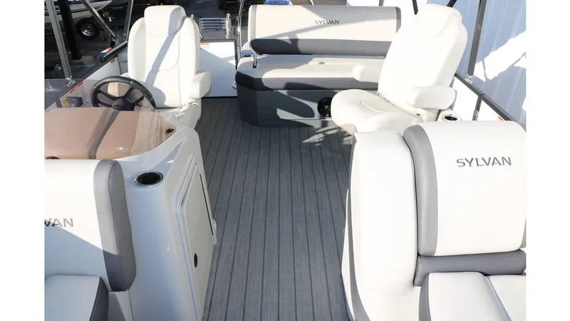 Slide: The Image of Sylvan Mirage X1 CLZ DH Tri Toon 2025 - 20