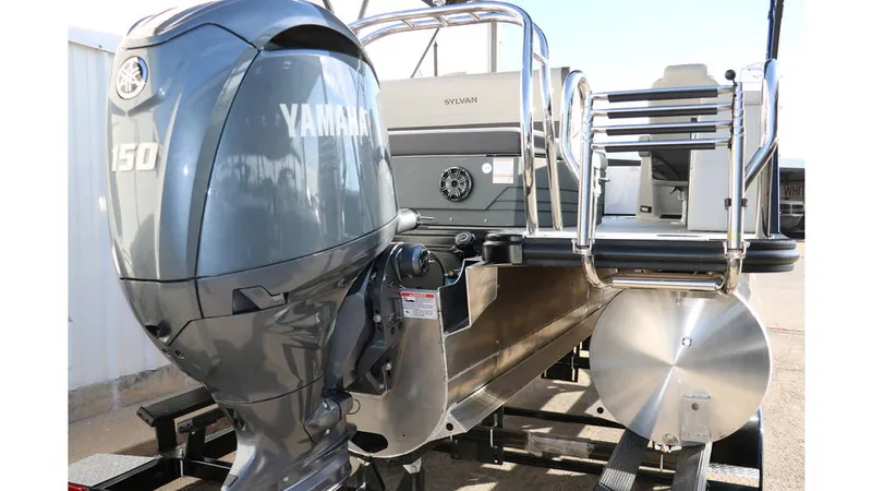 Slide: The Image of Sylvan Mirage X1 CLZ DH Tri Toon 2025 - 5