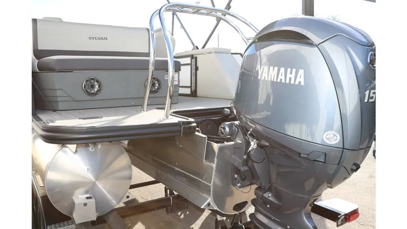 Slide: The Image of Sylvan Mirage X1 CLZ DH Tri Toon 2025 - 6