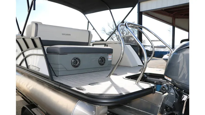 Slide: The Image of Sylvan Mirage X1 CLZ DH Tri Toon 2025 - 7