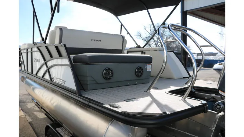 Slide: The Image of Sylvan Mirage X1 CLZ DH Tri Toon 2025 - 8