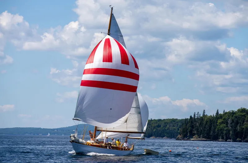 The Image of Vintage 1958 Concordia Yawl sailing with striped spinnaker on a sunny day. - 0