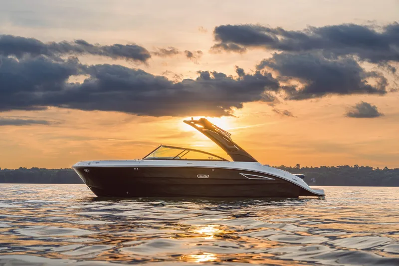 Slide: The Image of Sea Ray SDX 250 2026 - 12
