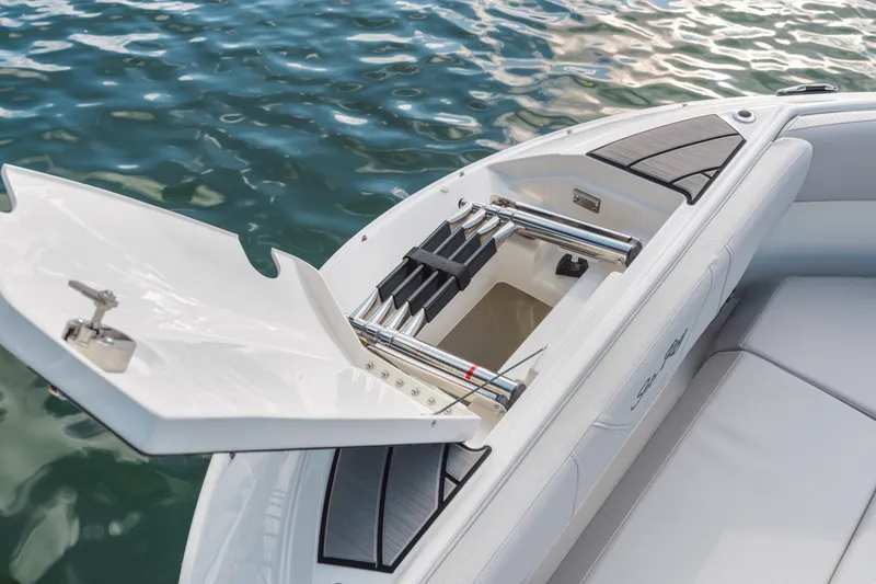 Slide: The Image of Sea Ray SDX 250 2026 - 16