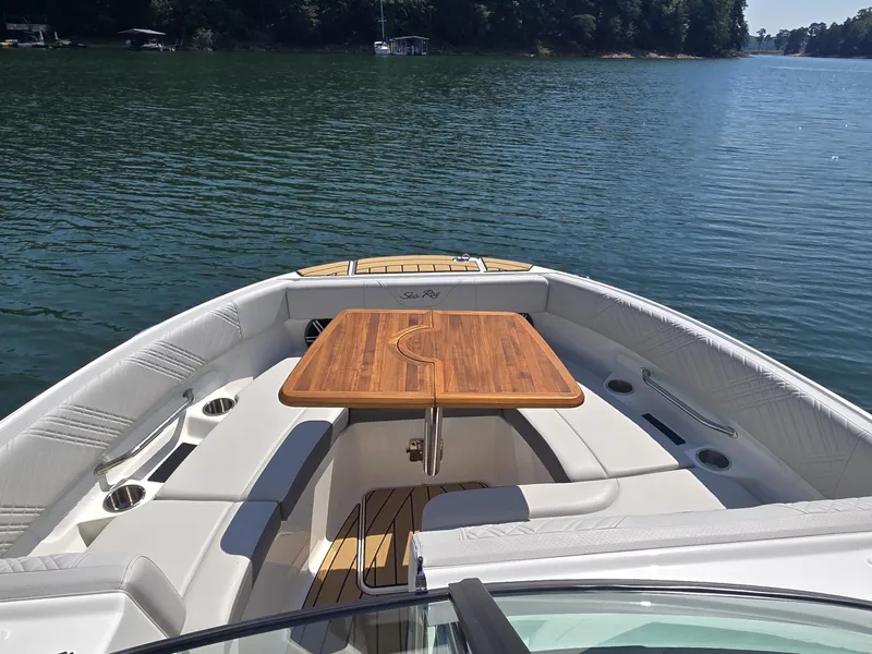 Slide: The Image of Sea Ray SDX 250 2026 - 20