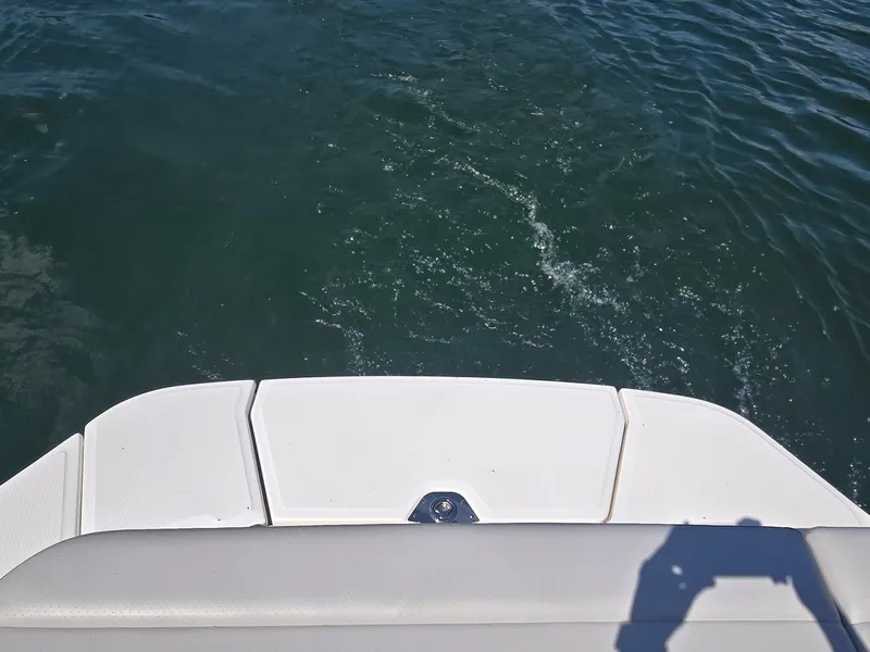 Slide: The Image of Sea Ray SDX 250 2026 - 7