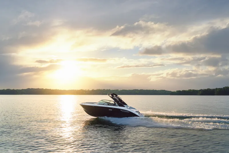 Slide: The Image of Sea Ray SDX 250 2026 - 9