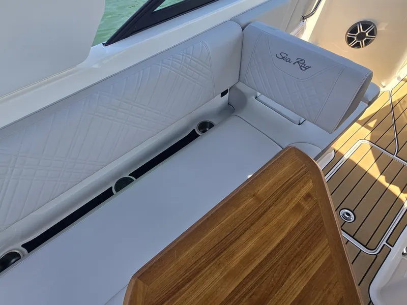Slide: The Image of Sea Ray SDX 250 2026 - 12
