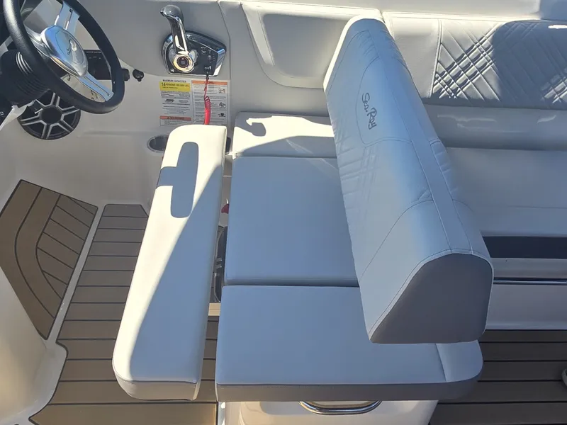 Slide: The Image of Sea Ray SDX 250 2026 - 23