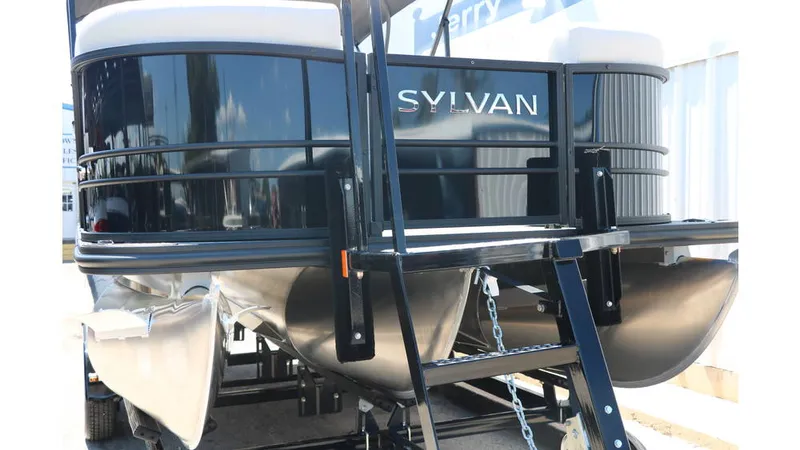 Slide: The Image of Sylvan Mirage X1 CLZ DH Tri Toon 2025 - 10