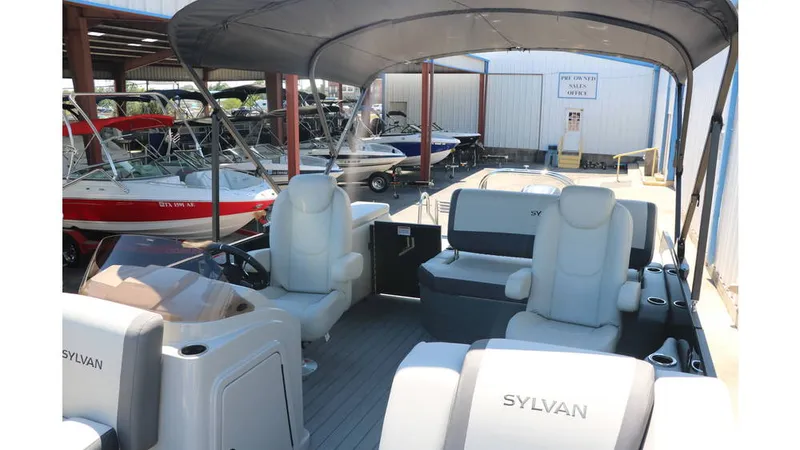 Slide: The Image of Sylvan Mirage X1 CLZ DH Tri Toon 2025 - 19