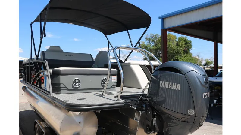 Slide: The Image of Sylvan Mirage X1 CLZ DH Tri Toon 2025 - 4