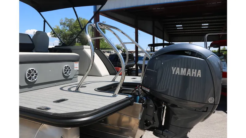 Slide: The Image of Sylvan Mirage X1 CLZ DH Tri Toon 2025 - 5