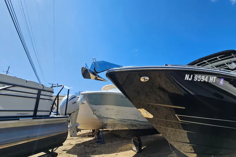 Slide: The Image of Monterey 305 SS 2024 - 6