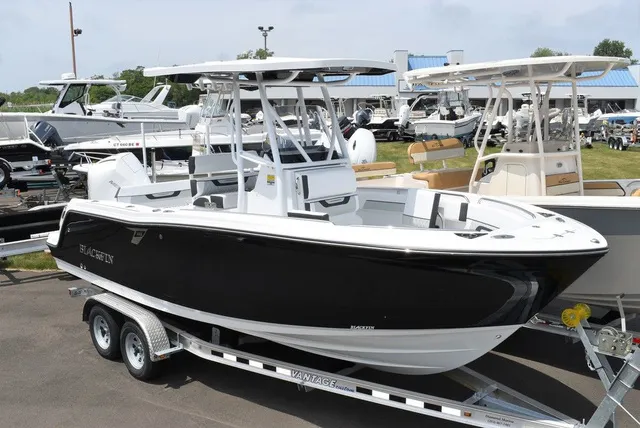 The Image of Blackfin 222CC 2024 - 0