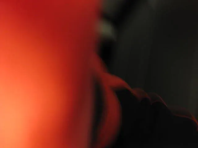 Slide: The Image of Blurry abstract image with red and dark tones, possibly obscured view. - 32