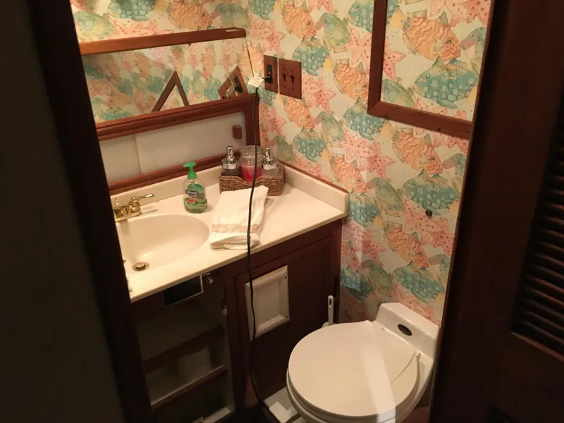 Slide: The Image of Chris-Craft 66 Constellation 1984 - 53