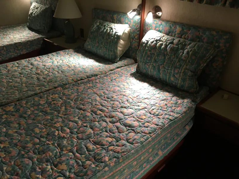 Slide: The Image of Chris-Craft 66 Constellation 1984 - 54