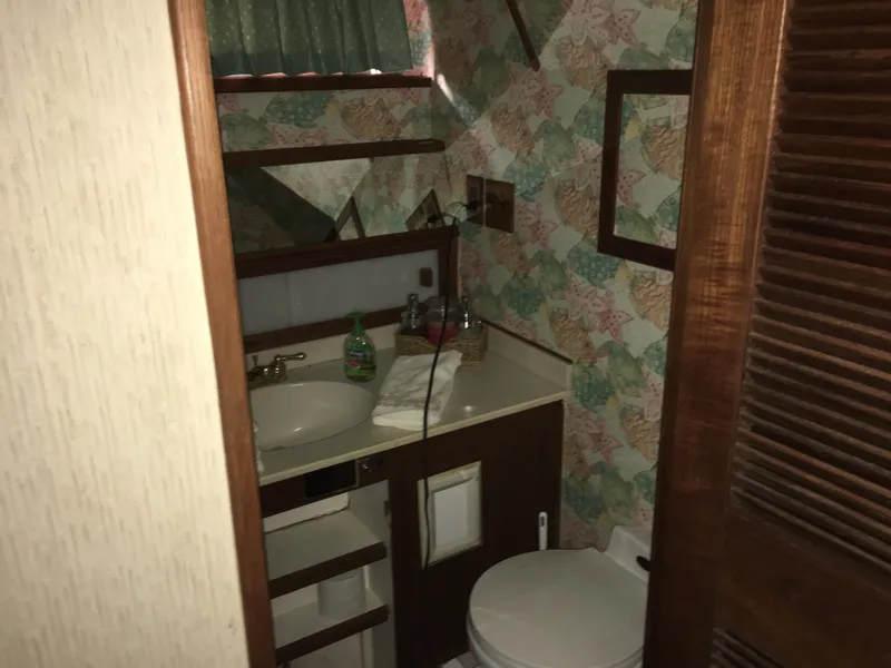 Slide: The Image of Chris-Craft 66 Constellation 1984 - 81