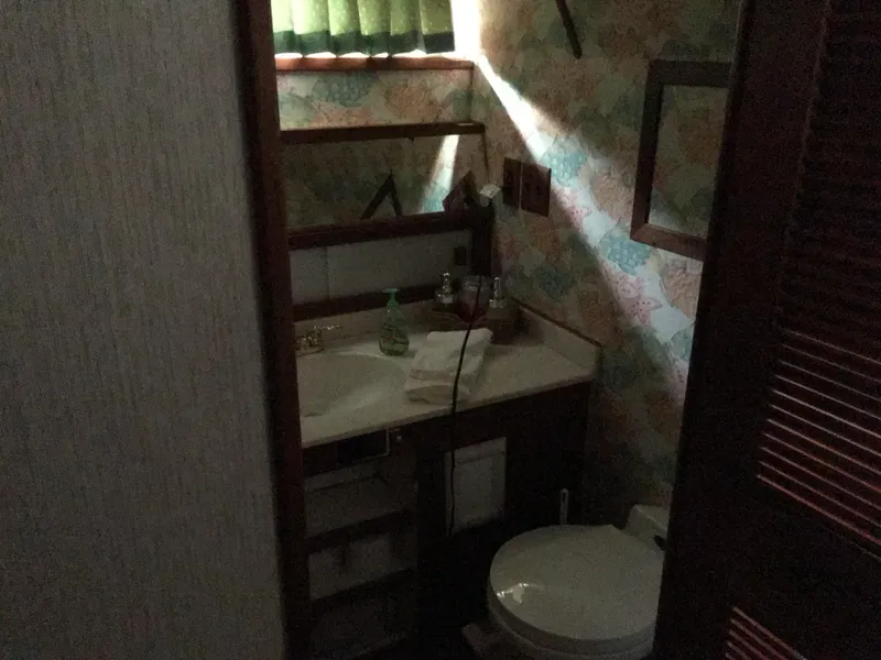 Slide: The Image of Chris-Craft 66 Constellation 1984 - 82