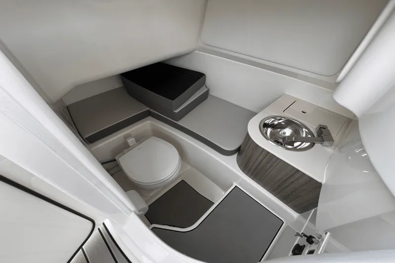 Slide: The Image of Sea Ray SDX 270 Outboard 2025 - 25