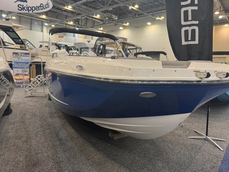 The Image of Bayliner D20I 2025 - 0