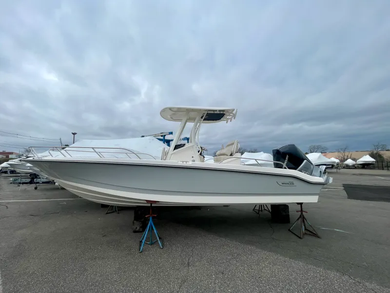 The Image of Boston Whaler 250 Dauntless 2026 - 0