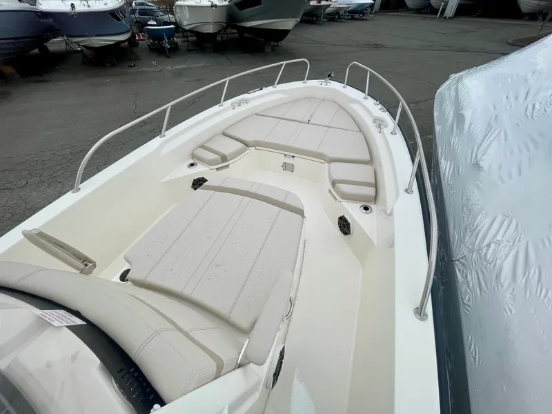 Slide: The Image of Boston Whaler 250 Dauntless 2026 - 11