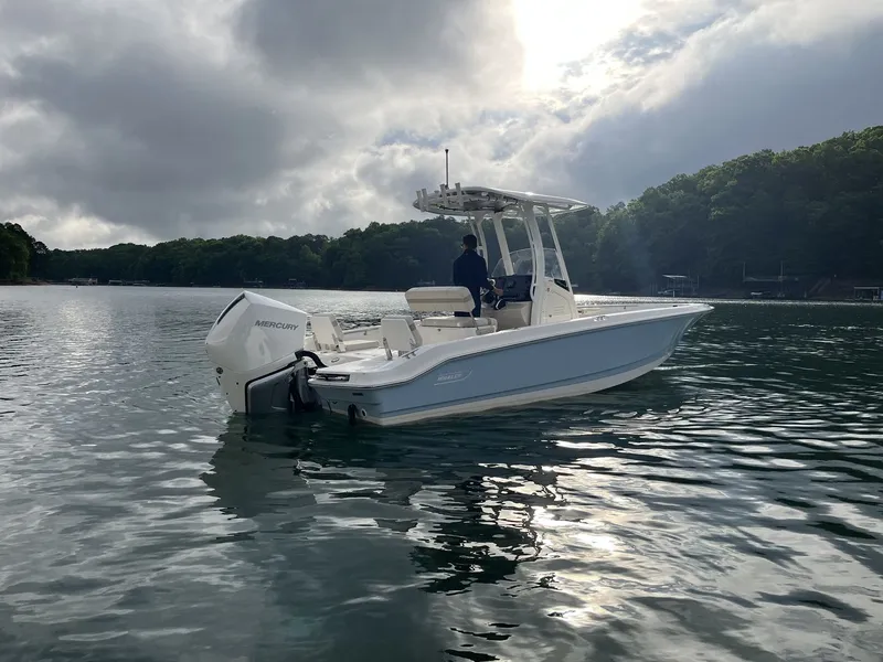 The Image of Boston Whaler 250 Dauntless 2026 - 0