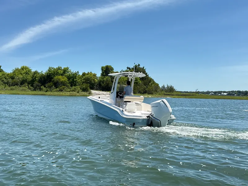 Slide: The Image of Boston Whaler 250 Dauntless 2026 - 3