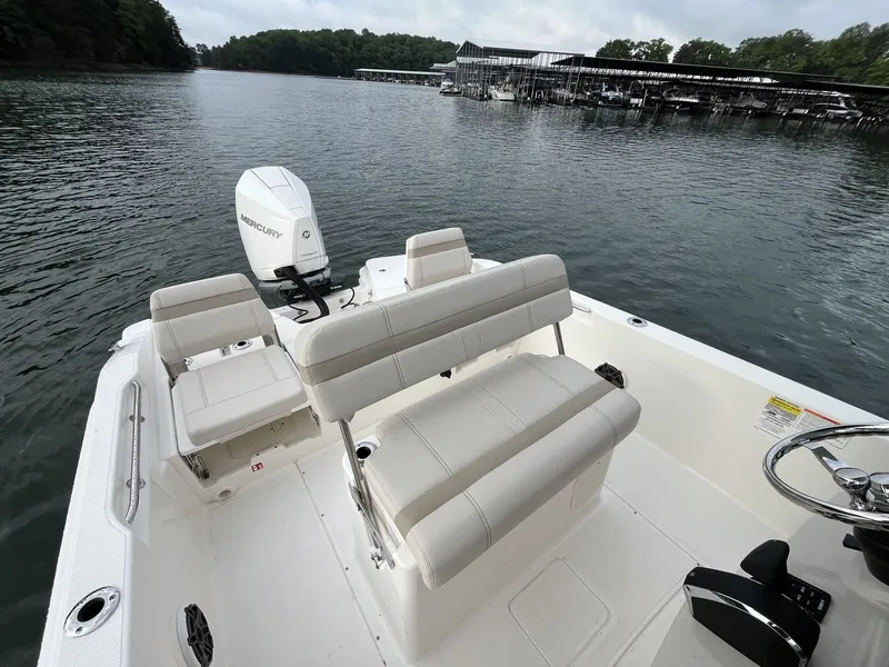 Slide: The Image of Boston Whaler 250 Dauntless 2026 - 12