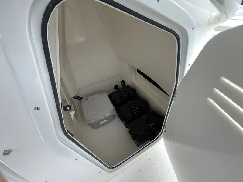 Slide: The Image of Boston Whaler 250 Dauntless 2026 - 14