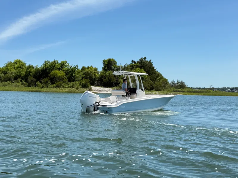 Slide: The Image of Boston Whaler 250 Dauntless 2026 - 5