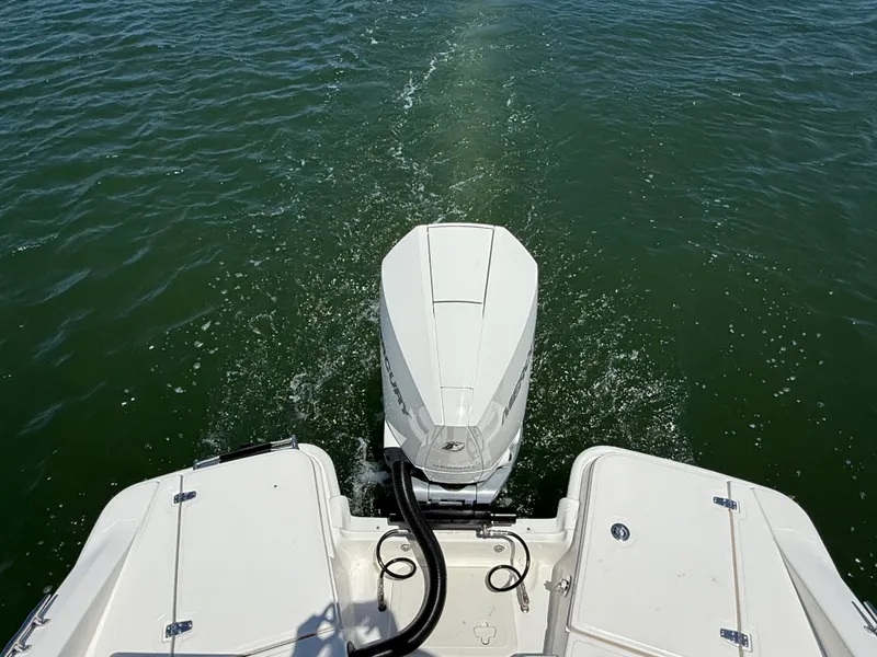 Slide: The Image of Boston Whaler 250 Dauntless 2026 - 12