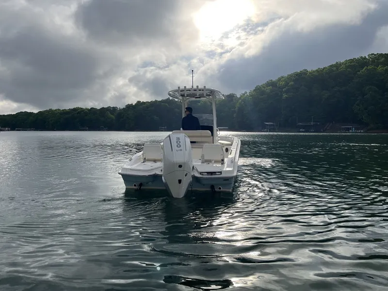 Slide: The Image of Boston Whaler 250 Dauntless 2026 - 2