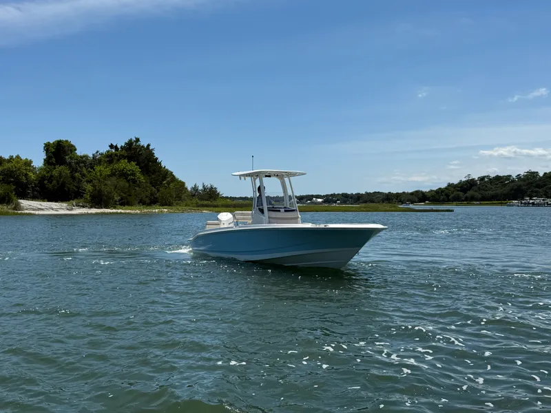 Slide: The Image of Boston Whaler 250 Dauntless 2026 - 7