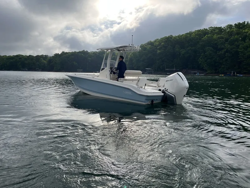 Slide: The Image of Boston Whaler 250 Dauntless 2026 - 4