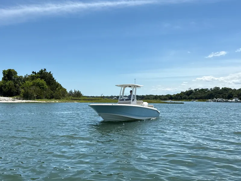 Slide: The Image of Boston Whaler 250 Dauntless 2026 - 1