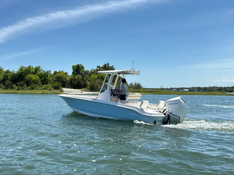 Slide: The Image of Boston Whaler 250 Dauntless 2026 - 2